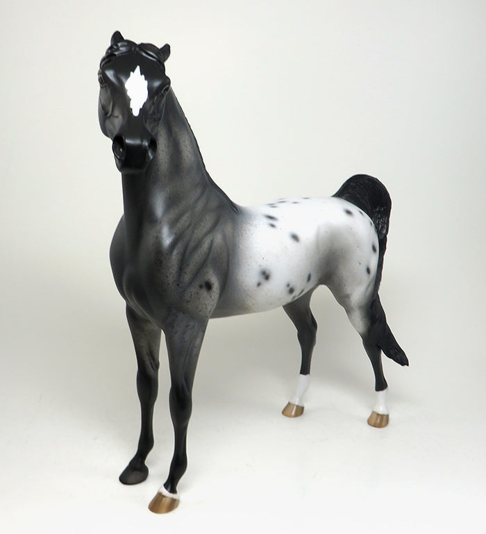 OOAK Arabian