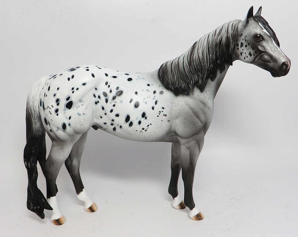 APPALOOSA