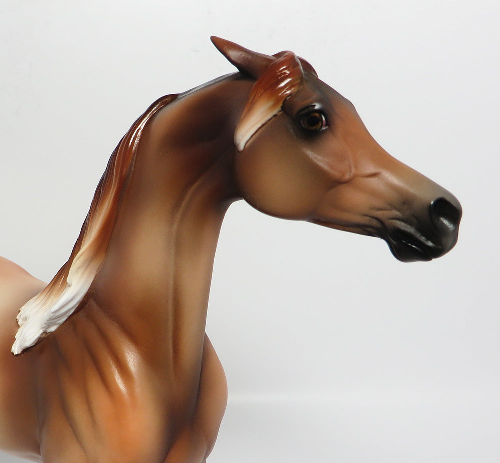 GAIUS~OOAK CHESTNUT PINNED EAR ARABIAN MODEL HORSE 5/10