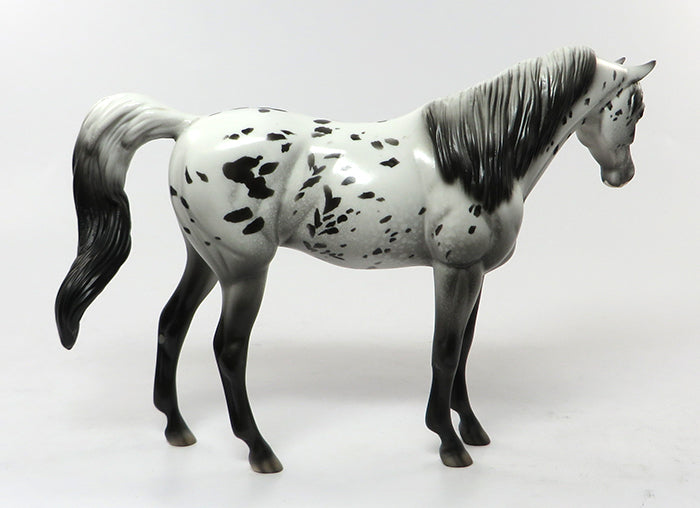 CABARET-OOAK LOUD APPALOOSA ARABIAN MODEL HORSE 7/1