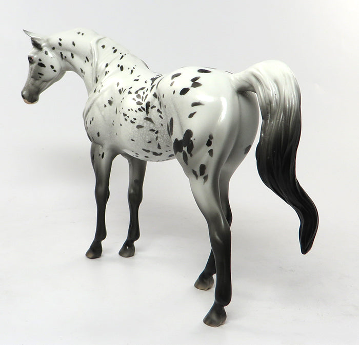 CABARET-OOAK LOUD APPALOOSA ARABIAN MODEL HORSE 7/1