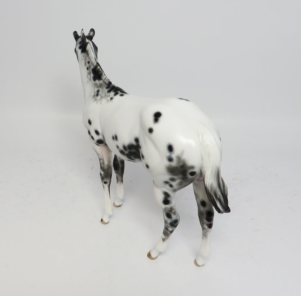 PISTOL ANNIE~OOAK LOUD LEOPARD WEANLING MODEL HORSE BY SHERYL LEISURE 5/10