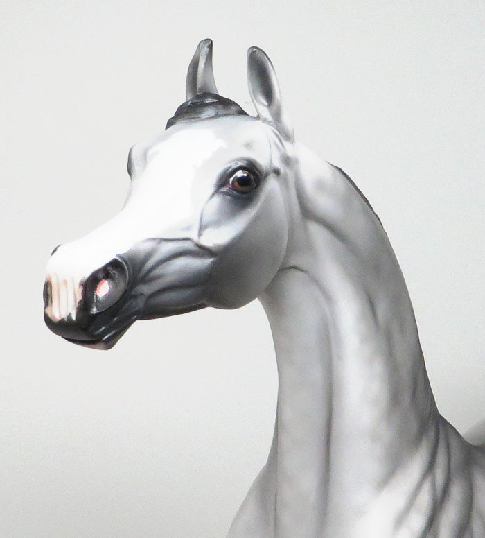 PANIC AT THE DISCO - LIMITED EDITION DAPPLE GREY ARABIAN MODEL HORSE - LE2 - 1/8