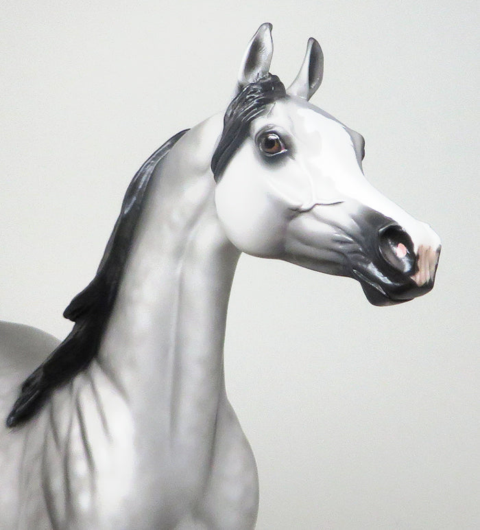 PANIC AT THE DISCO - LIMITED EDITION DAPPLE GREY ARABIAN MODEL HORSE - LE2 - 1/8
