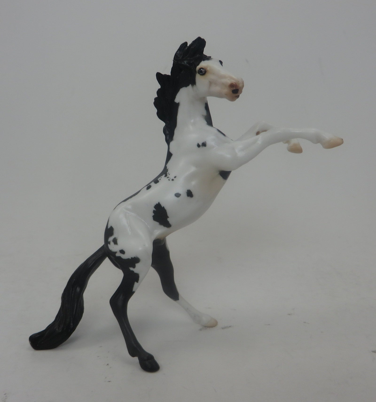 RODGER DODGER- REARING MUSTANG CHIPS LE-11-9/23