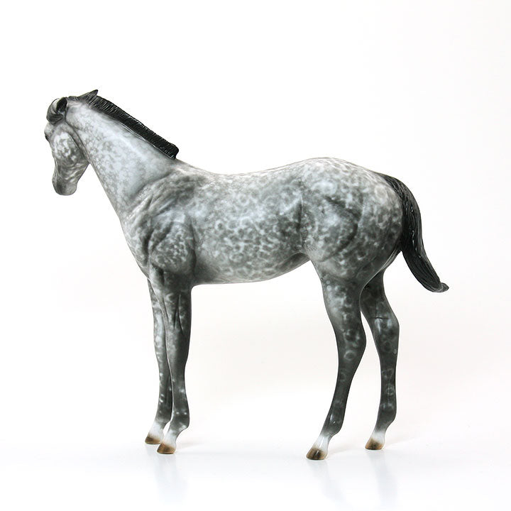SHEZA LITTLE HOUDINI - OOAK Dapple Gray Weanling 6/15