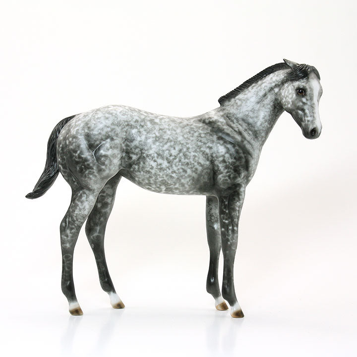 SHEZA LITTLE HOUDINI - OOAK Dapple Gray Weanling 6/15