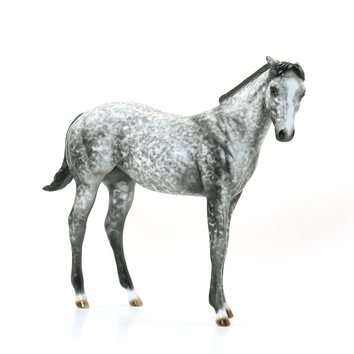 SHEZA LITTLE HOUDINI - OOAK Dapple Gray Weanling 6/15