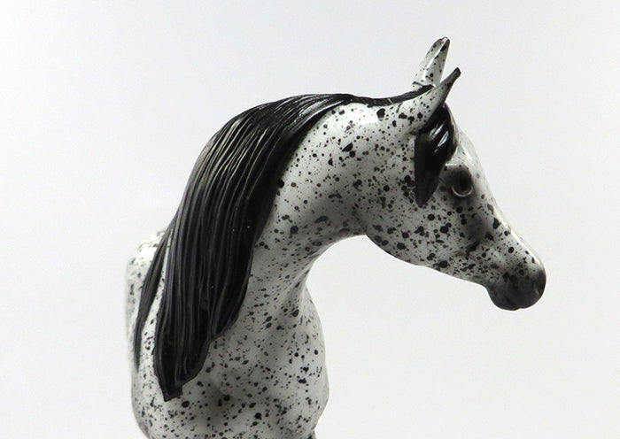SUGAR PIE-OOAK LOUD LEOPARD APPALOOSA ARABIAN PEBBLES 7/1