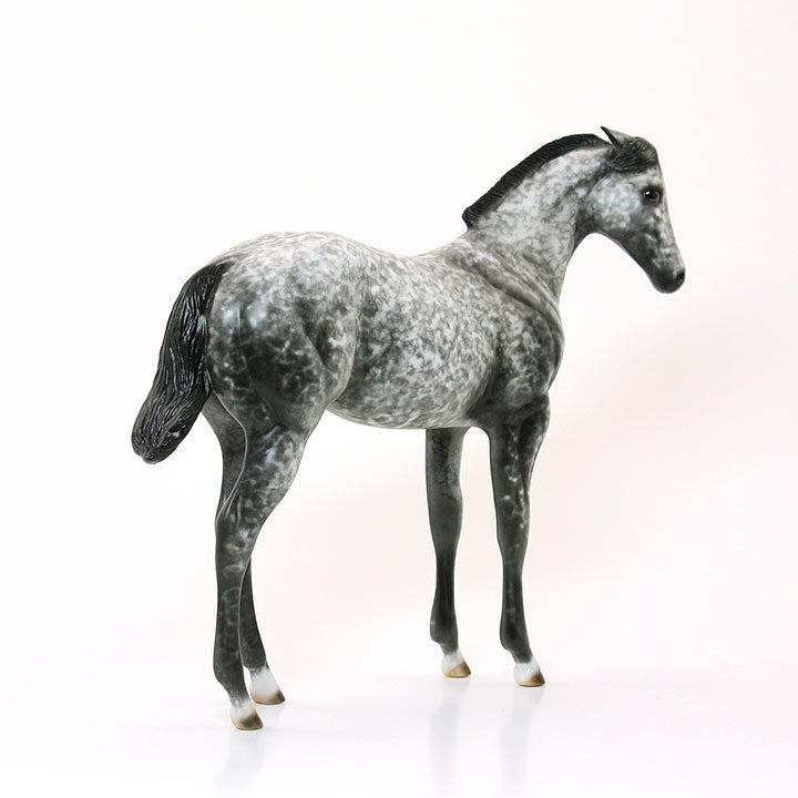 SHEZA LITTLE HOUDINI - OOAK Dapple Gray Weanling 6/15