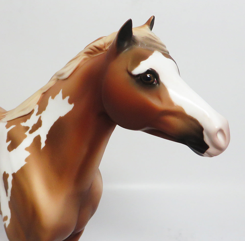 LOUIE~OOAK CHESTNUT PINTO SPANISH MUSTANG MODEL HORSE 5/10