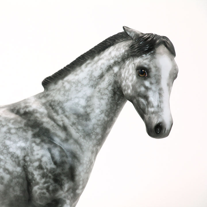 SHEZA LITTLE HOUDINI - OOAK Dapple Gray Weanling 6/15