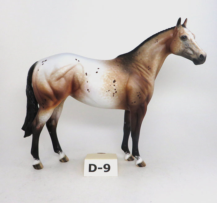 Custom Bay Appaloosa ISH