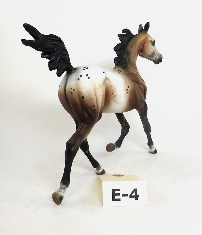 Bay Appaloosa Yearling