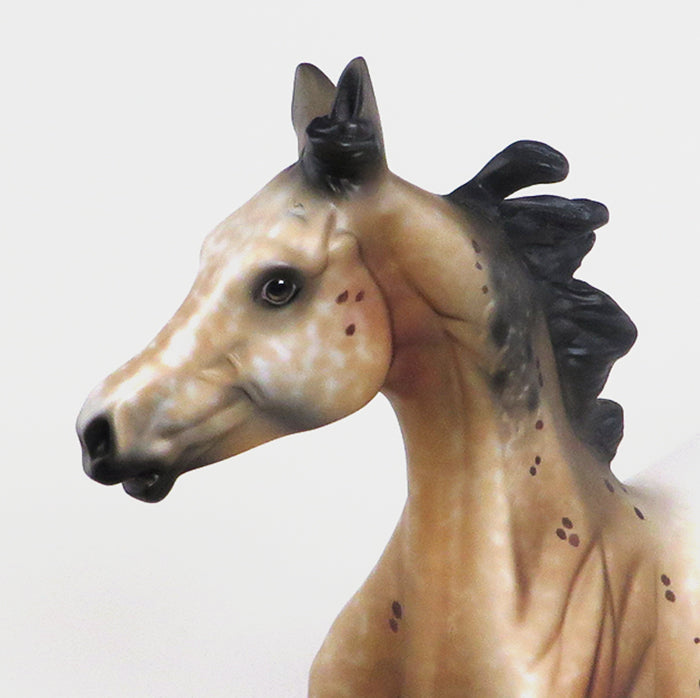 Limited Edition Yearling