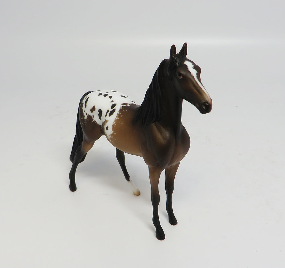 APPALOOSA