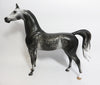 star dapple grey