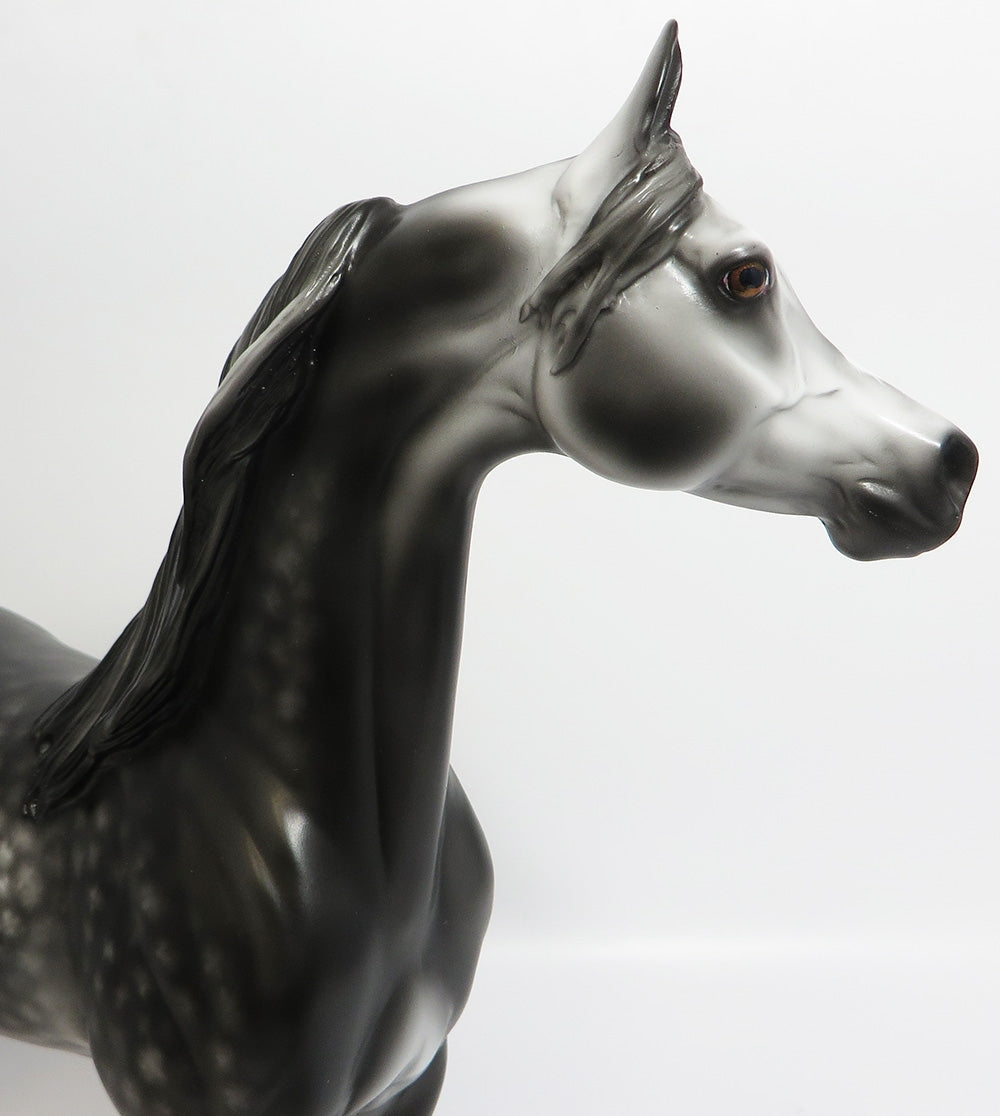 MAGIC EIGHTBALL-OOAK STAR DAPPLE GREY ARABIAN MODEL HORSE BY SHERYL LEISURE 11/21/17