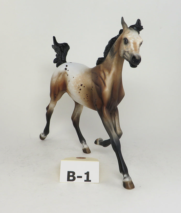 Appaloosa Limited Edition