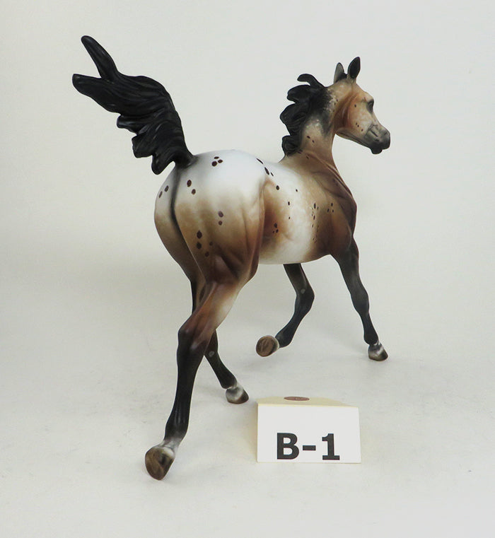 Bay Appaloosa Yearling