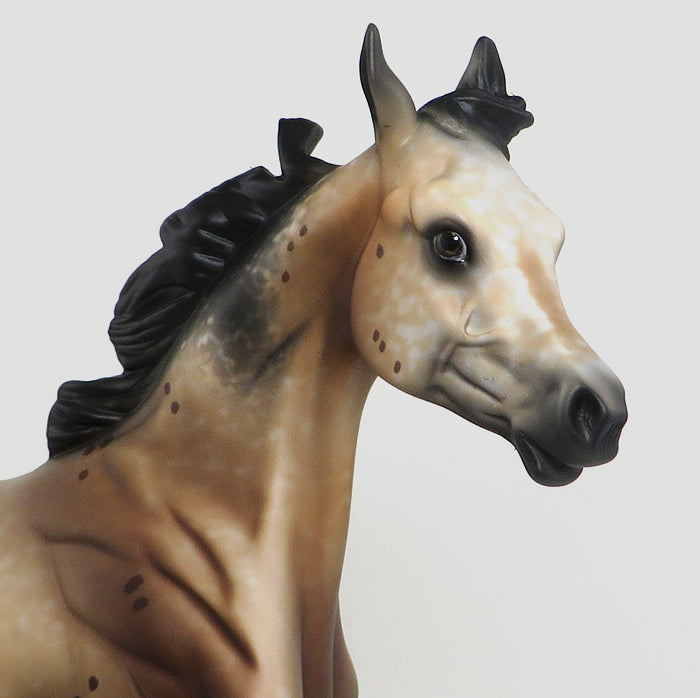 Bay Appaloosa Limited Edition