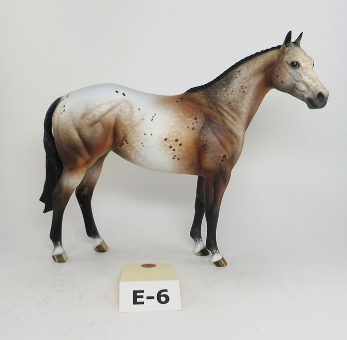 Appaloosa ISH Limited Edition