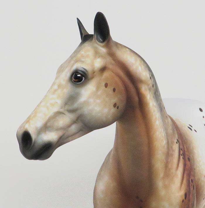 Model Horse by Al