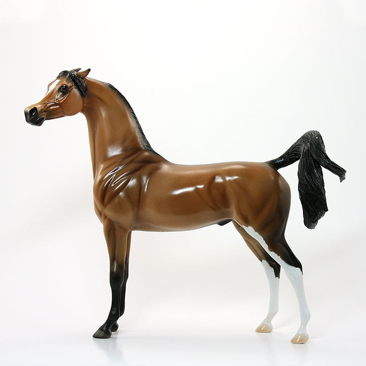TOO CLOSE FOR COMFORT - OOAK Dun Arabian Model Horse - 6/15