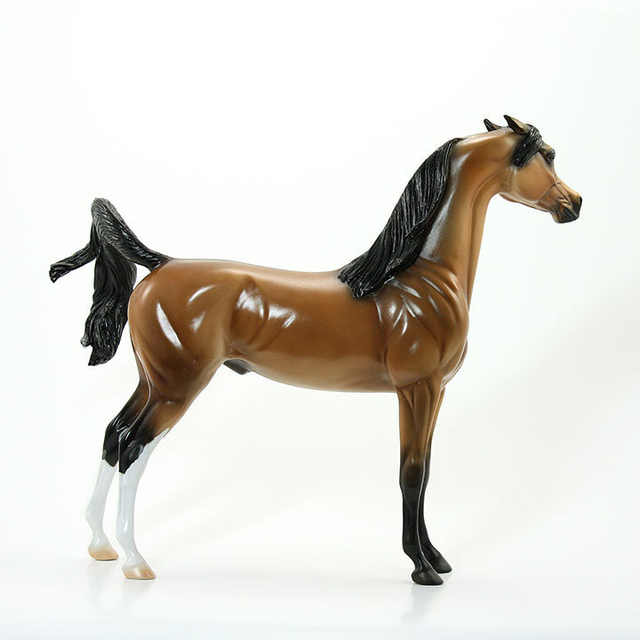 TOO CLOSE FOR COMFORT - OOAK Dun Arabian Model Horse - 6/15
