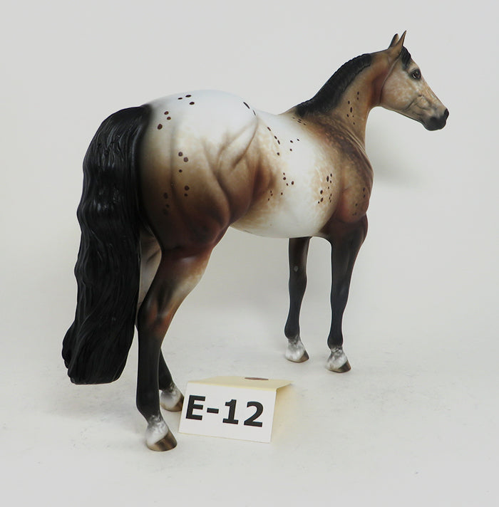 Appaloosa ISH Edition