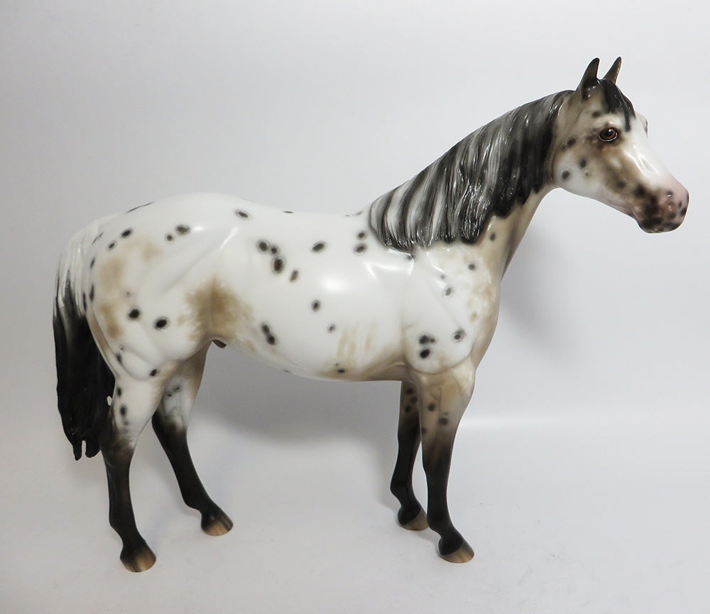 buckskin appaloosa