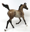 DUN FOOLIN-OOAK DUN YEARLING MODEL HORSE BY SHERYL LEISURE 6/30