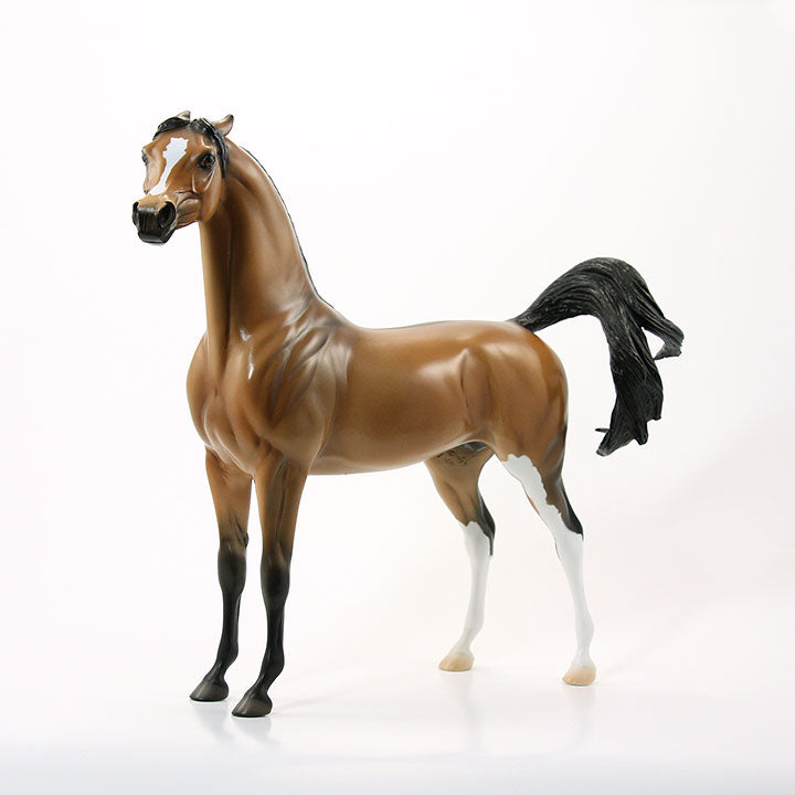 TOO CLOSE FOR COMFORT - OOAK Dun Arabian Model Horse - 6/15