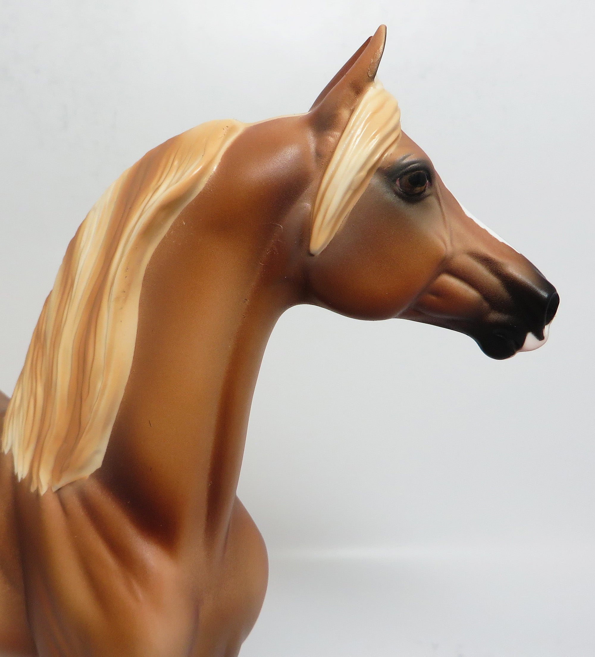 GARFUNKEL-LE.3 CHESTNUT MORGAN MODEL HORSE 05/12/17