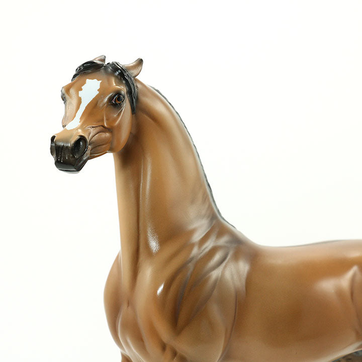 TOO CLOSE FOR COMFORT - OOAK Dun Arabian Model Horse - 6/15
