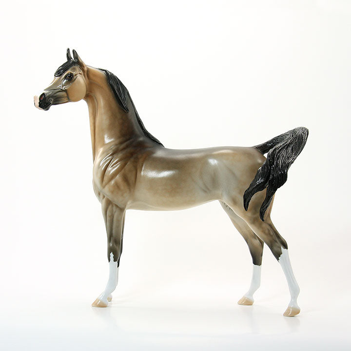 MEDUSA'S MAJESTY - OOAK Sooty Buckskin Arabian 6/15