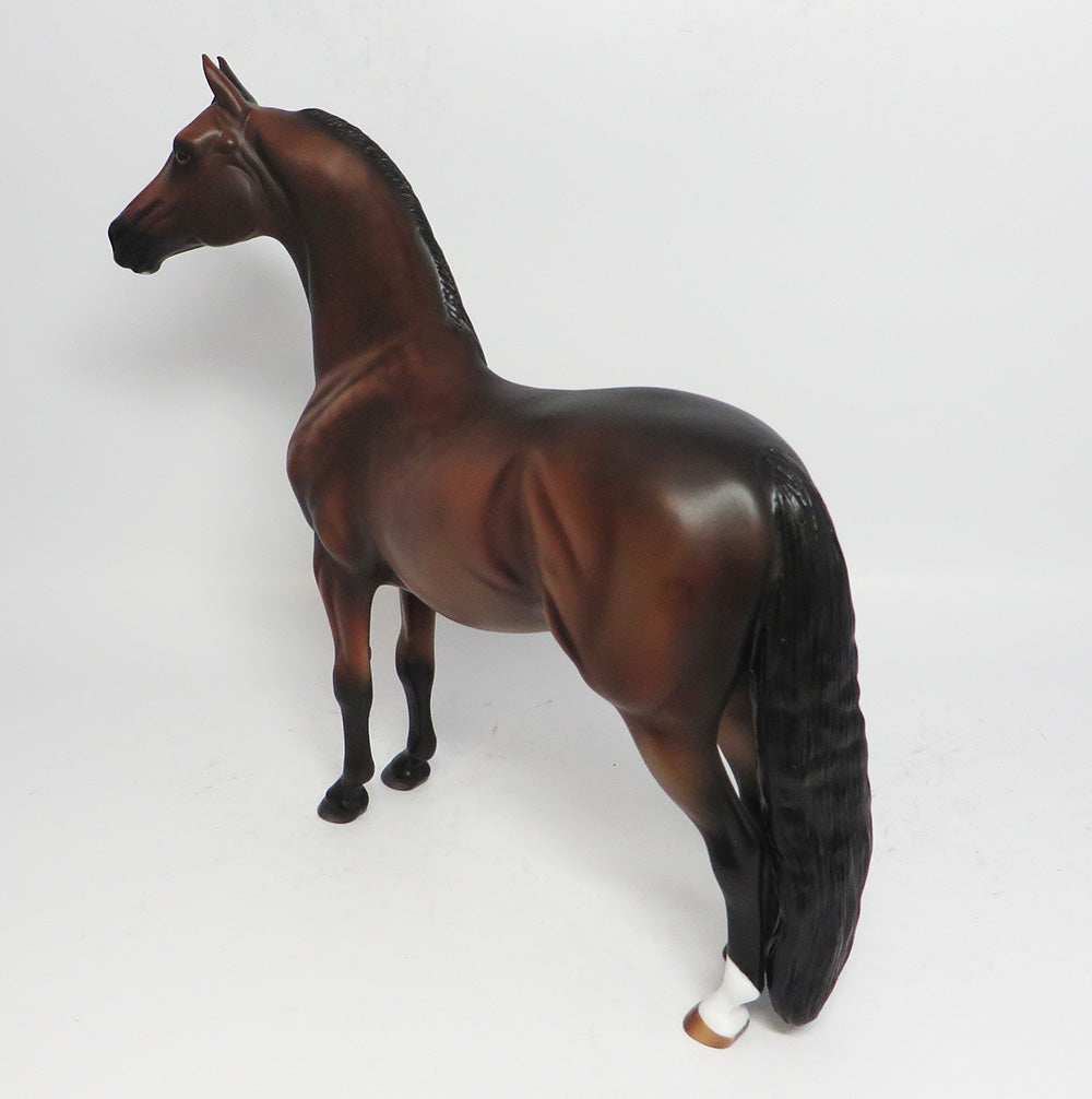 SIMON-LE.3 DAPPLE BAY MORGAN MODEL HORSE 05/12/17