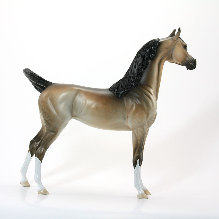 MEDUSA&#39;S MAJESTY - OOAK Sooty Buckskin Arabian 6/15