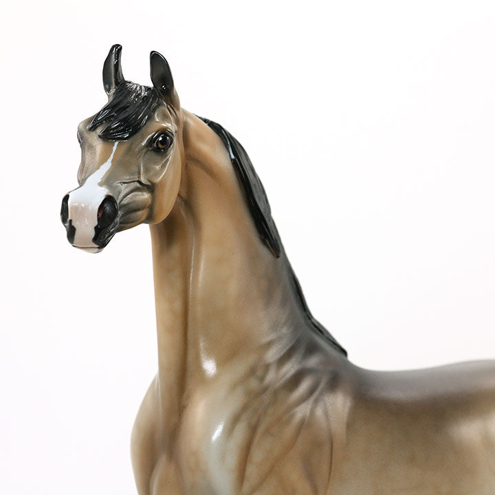 MEDUSA&#39;S MAJESTY - OOAK Sooty Buckskin Arabian 6/15