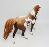 PONY