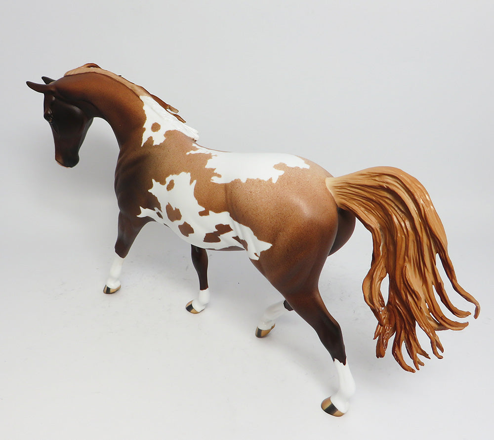 FLASH GORDON-OOAK STRAWBERRY ROAN PINTO PONY MODEL HORSE 5/12/17