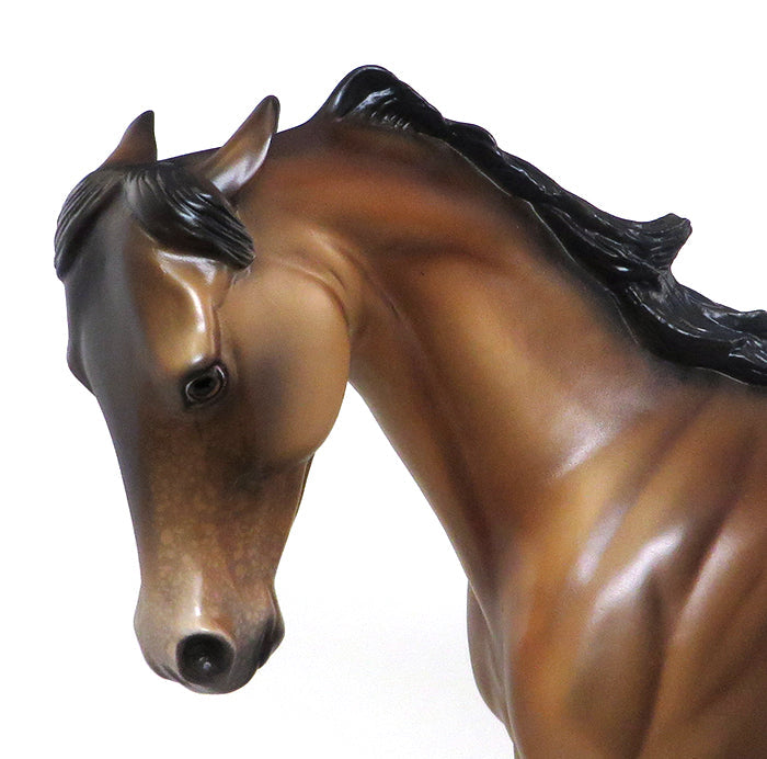 Custom Sooty Buckskin