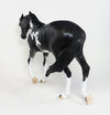 Custom Model Horse