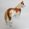 SIT AND SPIN-OOAK CUSTOM CHESTNUT SABINO ISH MODEL HORSE PAINTED BY SHERYL LEISURE 11-23-17