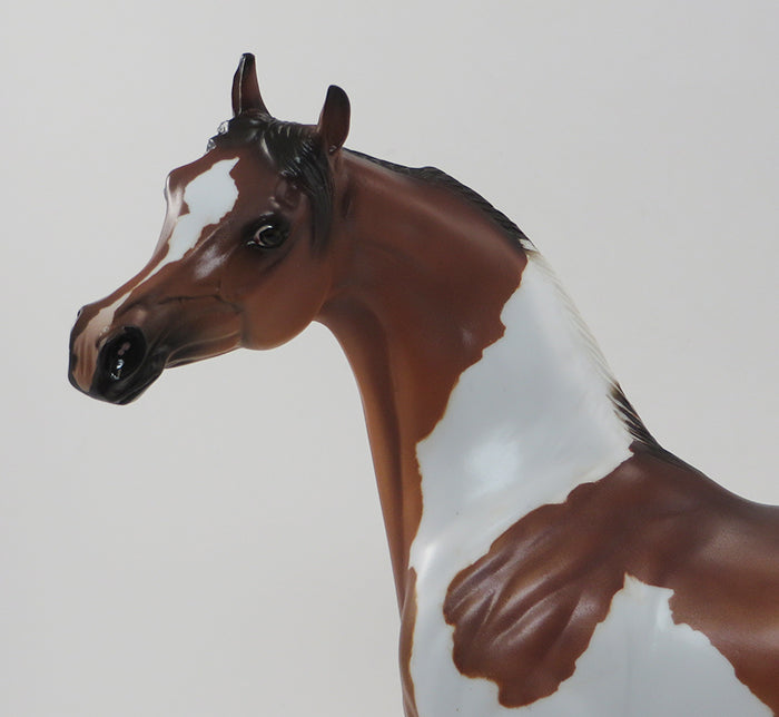 OKLAHOMA STAR - OOAK CHESTNUT PAINT ARABIAN MODEL HORSE - 9/24