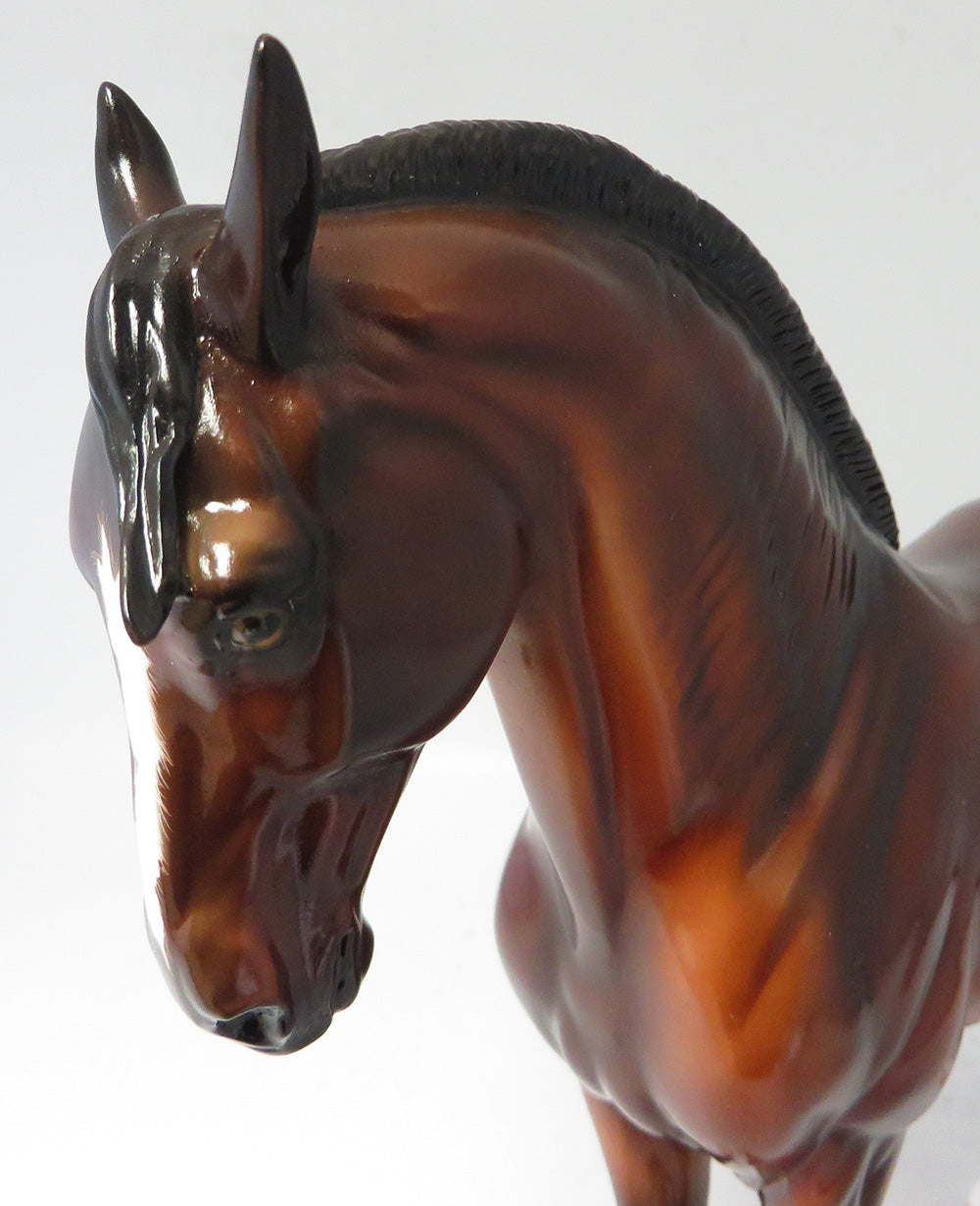 LINDSEY-LE-5 2016 PYO CONTEST WINNER DAPPLE BAY ANDALUSIAN MODEL HORSE PAINTED BY DONNA FREDLEY COUNTRY FAIR 2017 (Glossy Version)