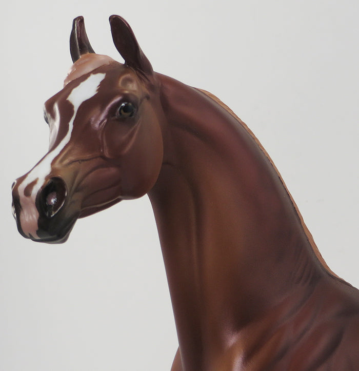 BADRA-CHESTNUT ARABIAN-OOAK 9/24