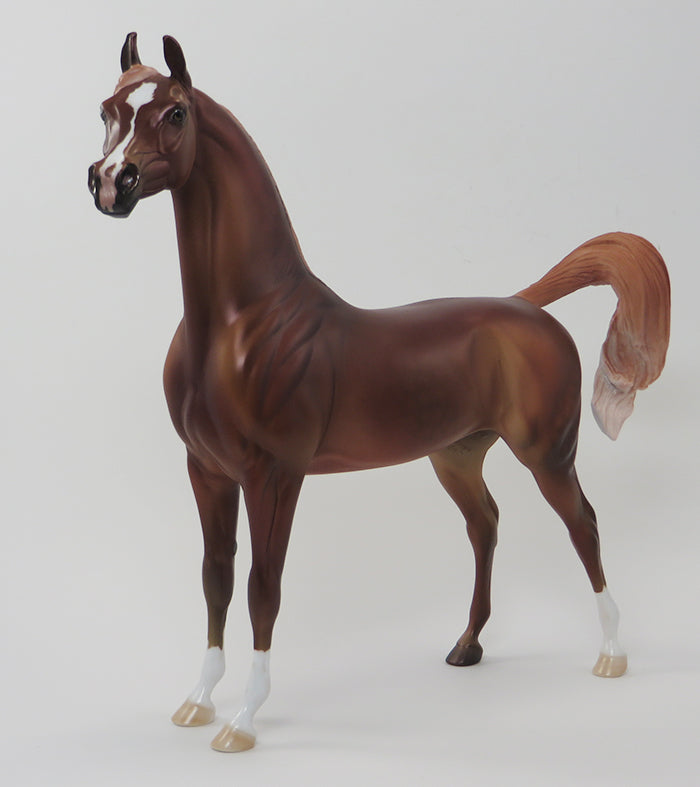 BADRA-CHESTNUT ARABIAN-OOAK 9/24