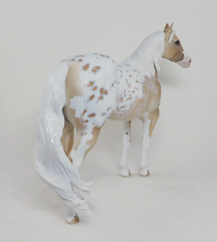 Appaloosa Palomino ISH