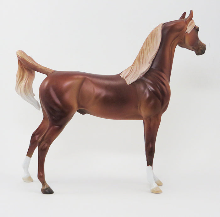 BADRA-CHESTNUT ARABIAN-OOAK 9/24